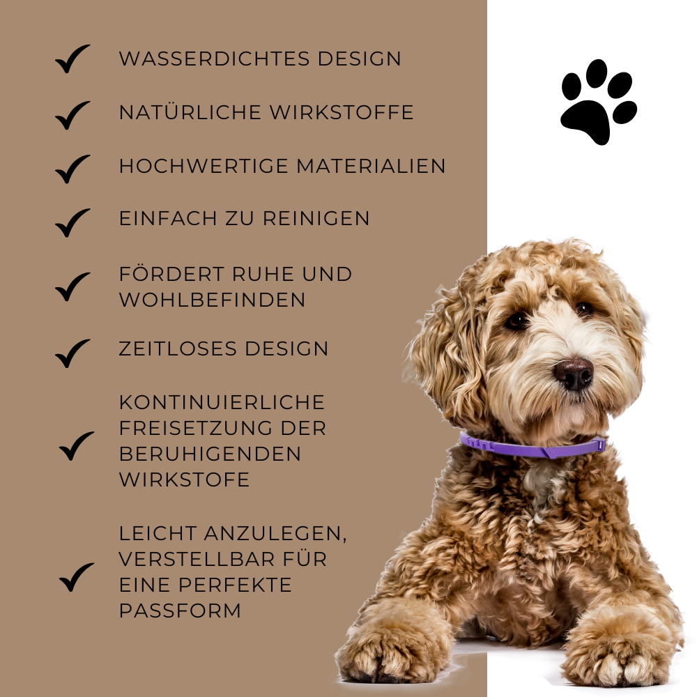 Beruhigendes Hundehalsband