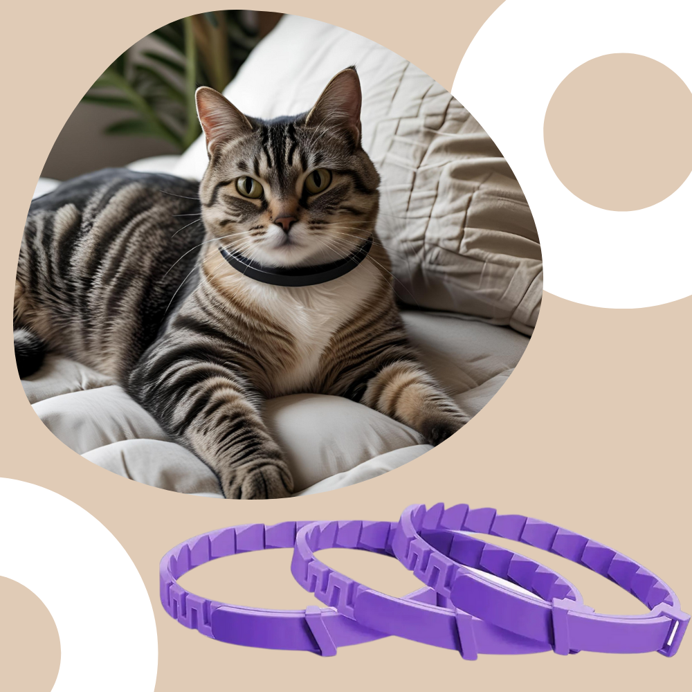 Beruhigendes Katzenhalsband