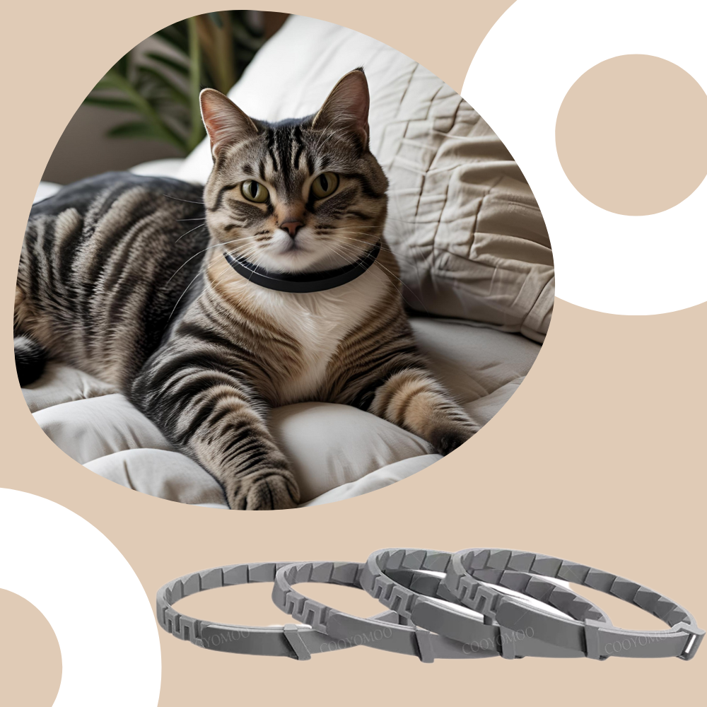 Beruhigendes Katzenhalsband