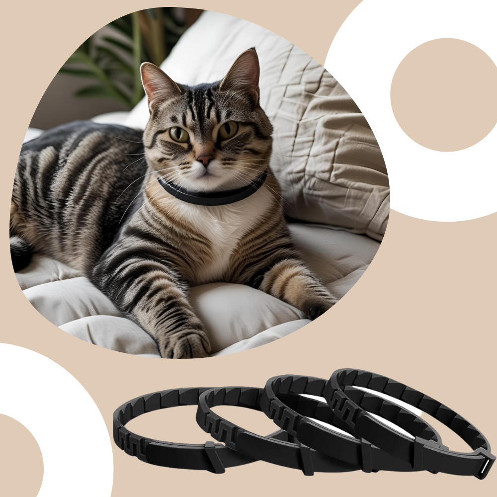 Beruhigendes Katzenhalsband