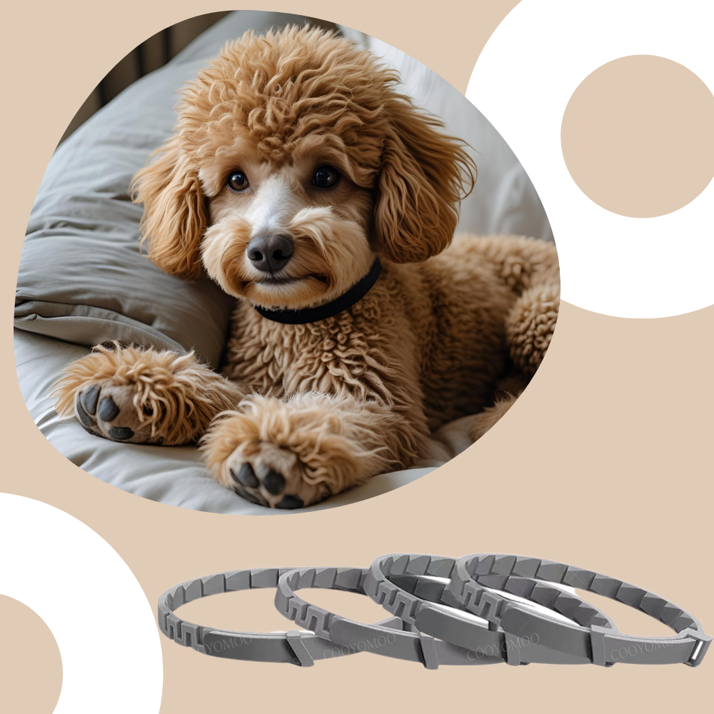 Beruhigendes Hundehalsband