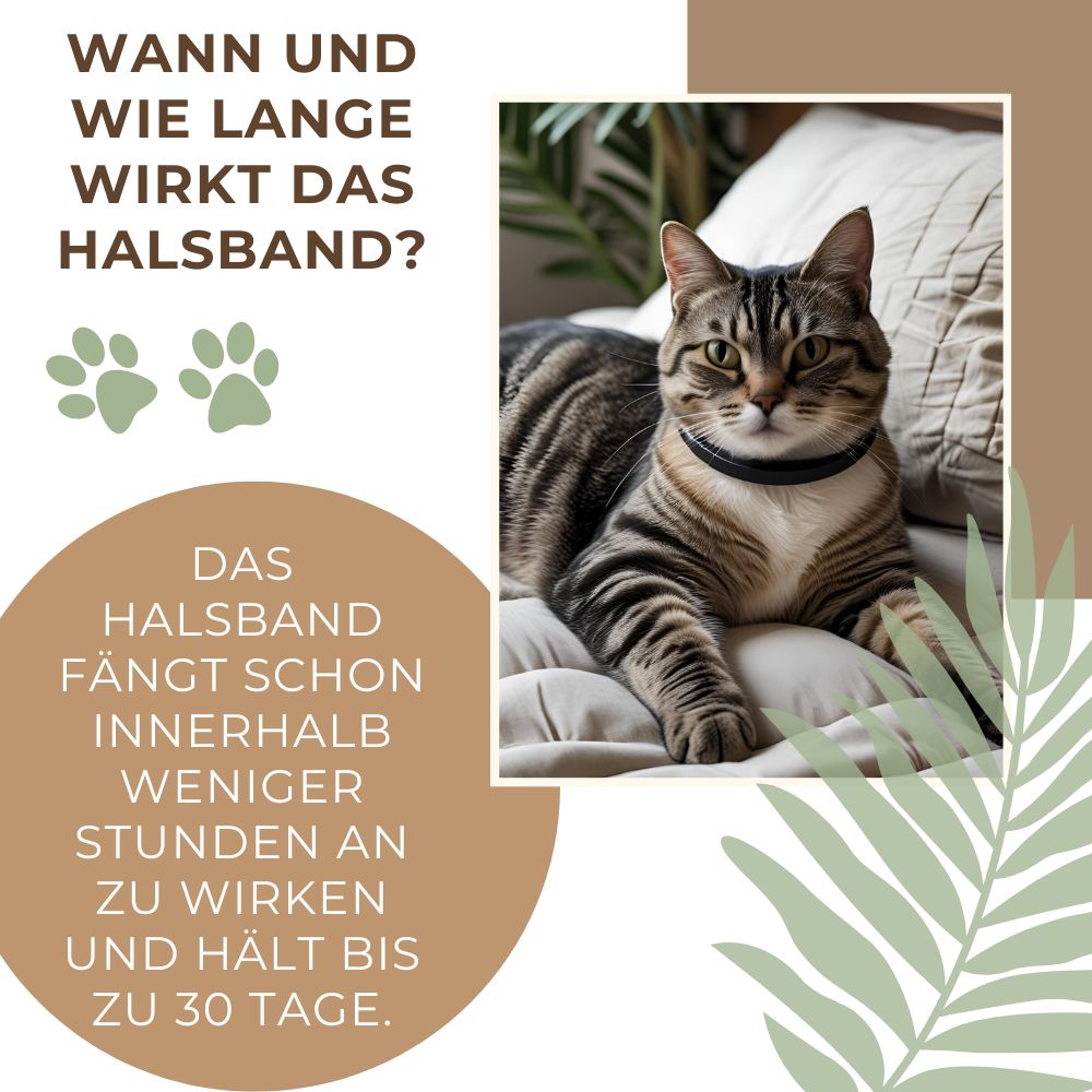 Beruhigendes Katzenhalsband