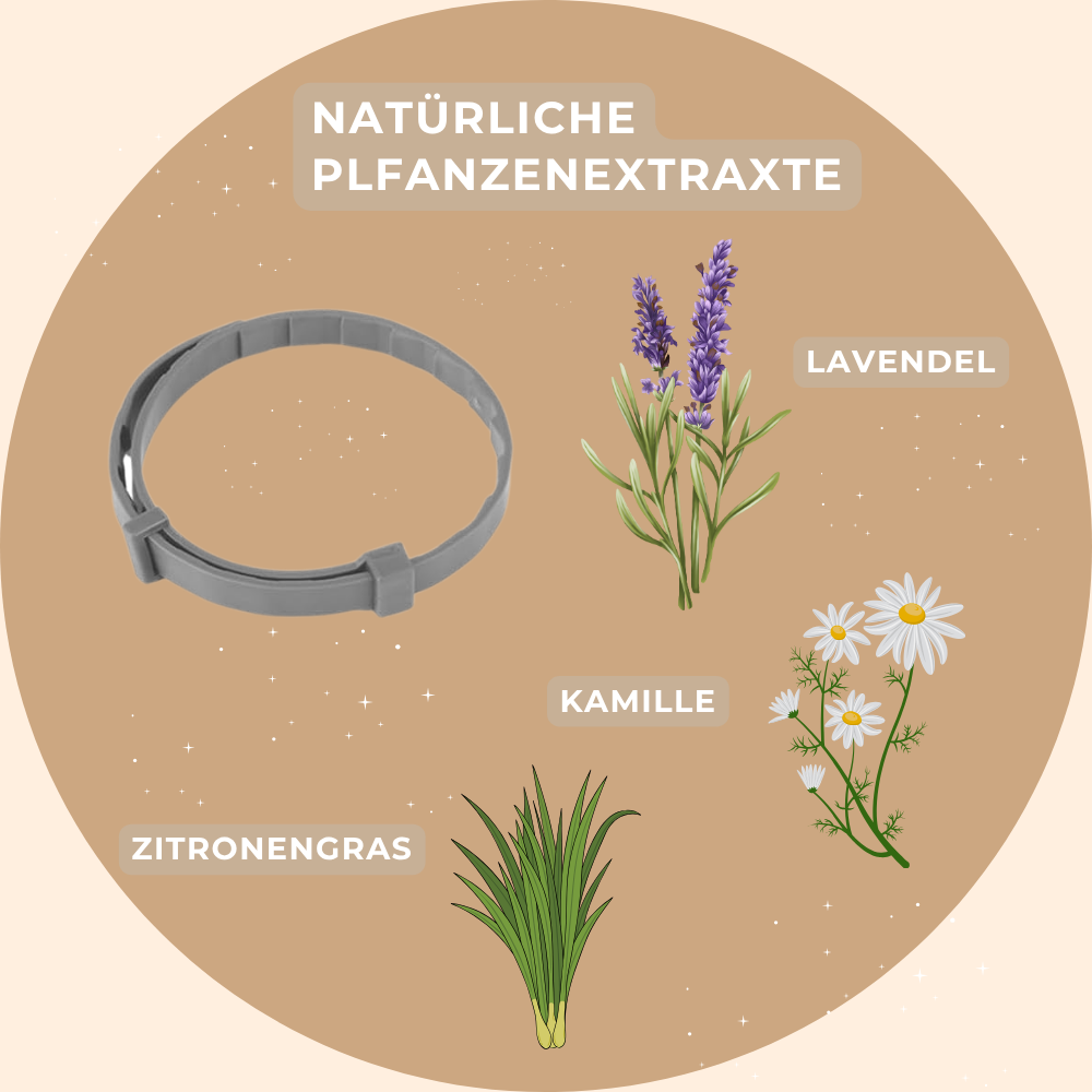 Beruhigendes Hundehalsband