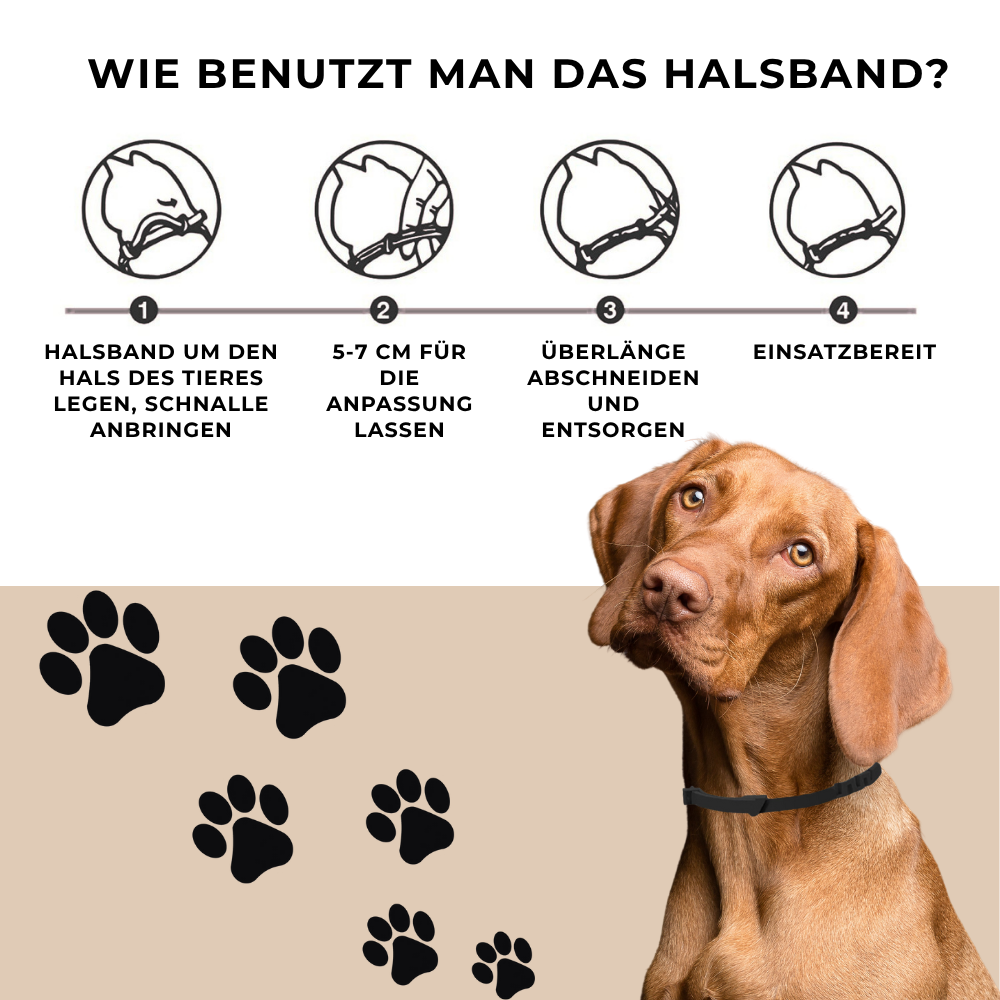 Beruhigendes Katzenhalsband