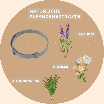 Beruhigendes Katzenhalsband