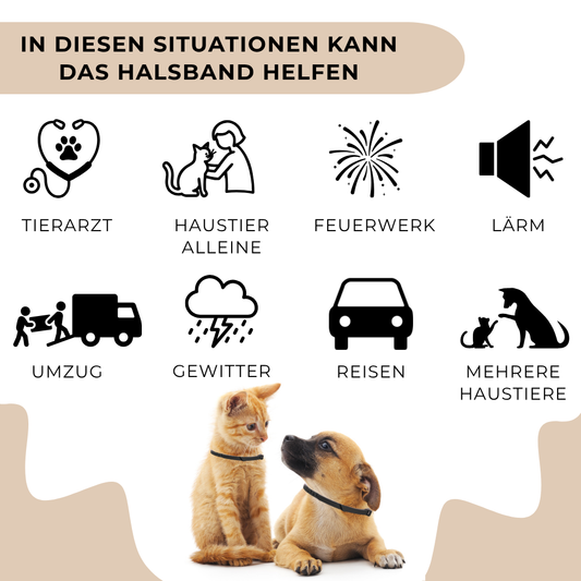 Beruhigendes Hundehalsband