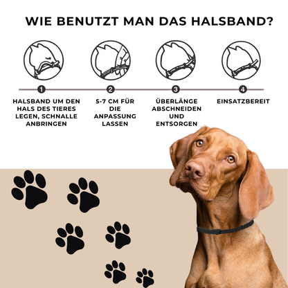 Beruhigendes Hundehalsband